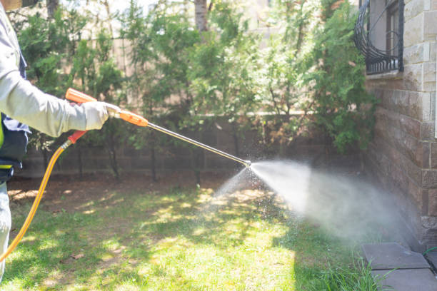 Wasp Removal Services in Lexington, KY